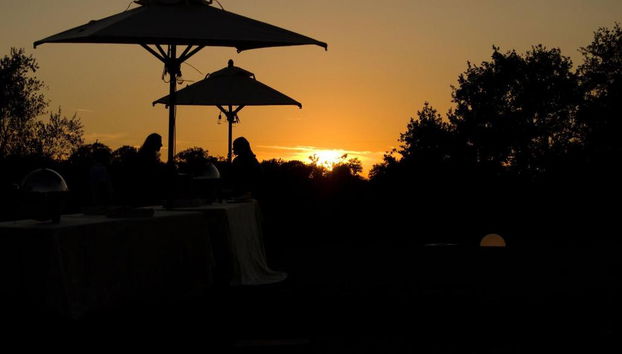 Fattoria Pianetti - Foto 3