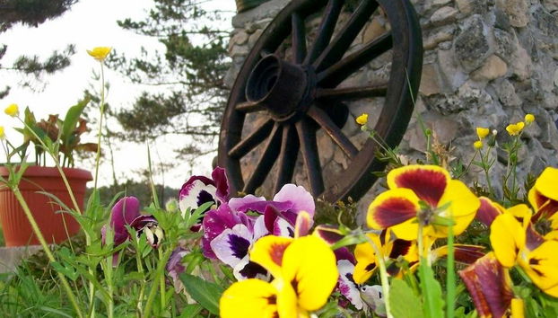 Holiday Home Vedran - Foto 2