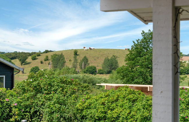 Casa de 3 quartos em Tranekær com terraço - Foto 8