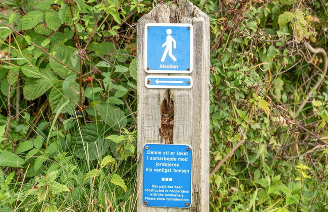 Haus mit 3 Schlafzimmern in Augustenborg - Foto 19