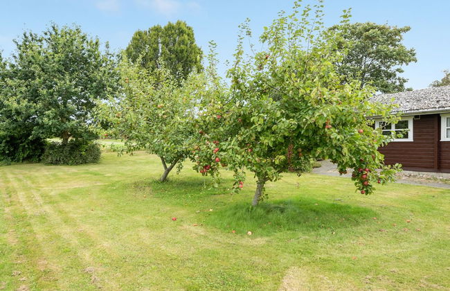 Haus mit 3 Schlafzimmern in Augustenborg - Foto 12