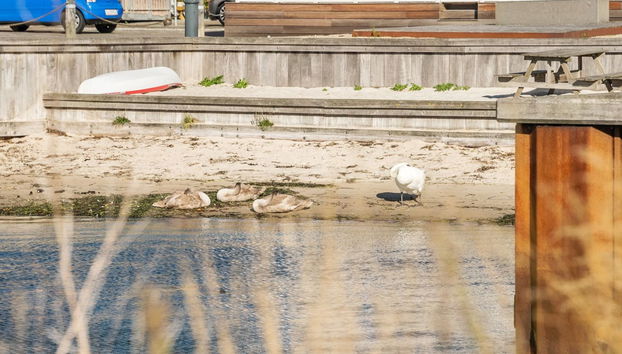 Appartement de 3 chambres à Gråsten avec terrasse et sauna - Photo 5