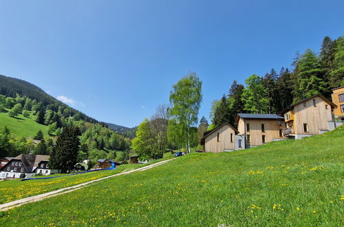 Foto 36 - Apartamento de 1 quarto em Pec pod Sněžkou com terraço e sauna