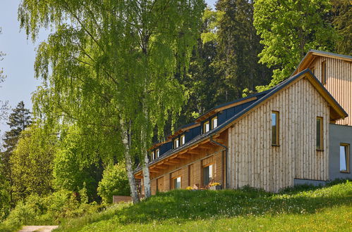 Foto 40 - Apartment mit 1 Schlafzimmer in Pec pod Sněžkou mit terrasse und sauna