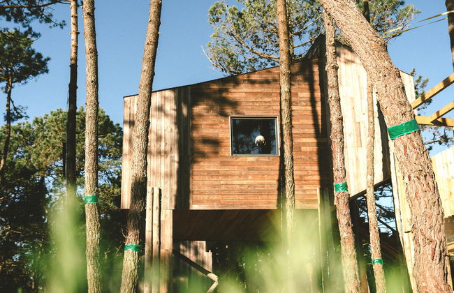 Bukubaki Ecosurf - Foto 3