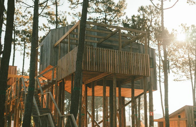 Bukubaki Ecosurf - Foto 2