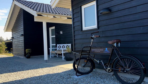 Haus mit 4 Schlafzimmern in Blokhus mit privater pool und terrasse - Foto 3
