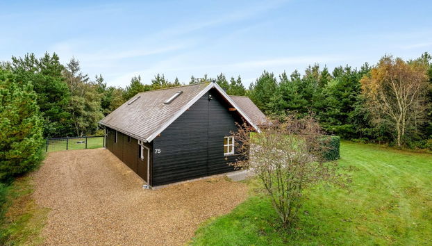 Maison de 3 chambres à Skjern avec terrasse - Photo 3