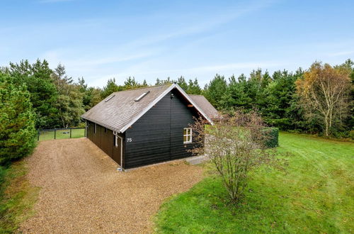 Photo 3 - 3 bedroom House in Skjern with terrace