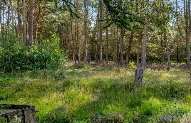 "Bernadine" - 350m from the sea - Foto 19