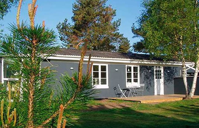 "Siggi" - 400m from the sea - Foto 11