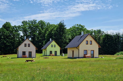 Photo 23 - Maison de 1 chambre à Stráž nad Nežárkou avec jardin et terrasse