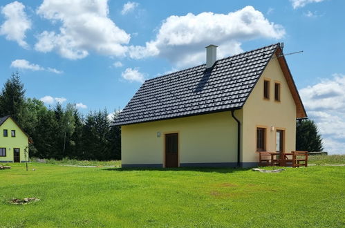 Photo 18 - Maison de 1 chambre à Stráž nad Nežárkou avec jardin et terrasse