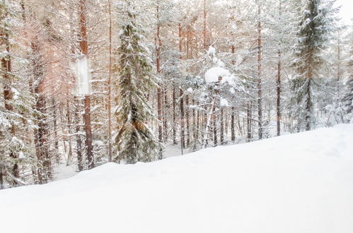 Photo 28 - Maison de 3 chambres à Kuusamo avec sauna et vues sur la montagne