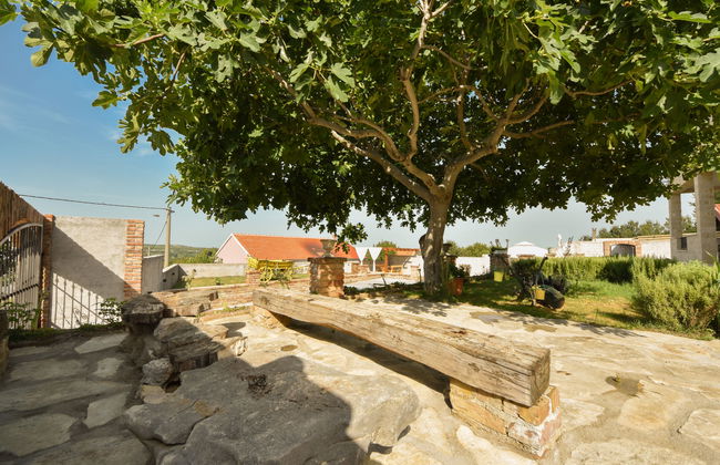 Casa de 6 quartos em Benkovac com piscina privada e terraço - Foto 43