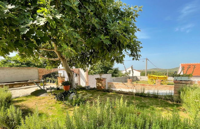 Casa de 6 quartos em Benkovac com piscina privada e terraço - Foto 41