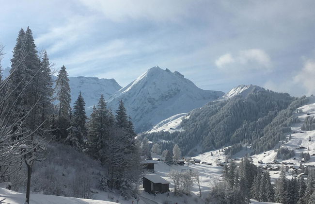 Apartamento de 2 quartos em Adelboden com jardim - Foto 7