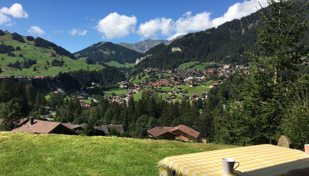 Apartment mit 2 Schlafzimmern in Adelboden mit garten - Foto 4