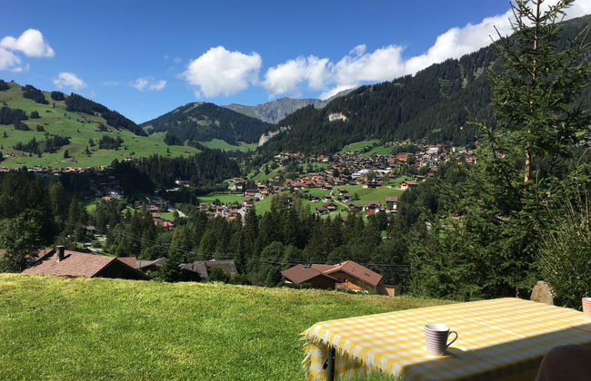 Apartamento de 2 quartos em Adelboden com jardim - Foto 4