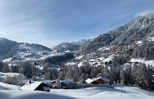 Apartamento de 2 quartos em Adelboden com jardim - Foto 6