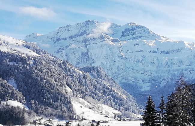 Apartamento de 1 quarto em Lenk - Foto 9