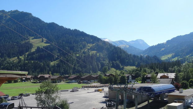 Apartamento de 1 quarto em Lenk - Foto 2