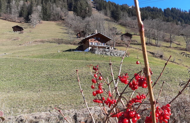 Apartamento de 1 quarto em Lenk - Foto 7