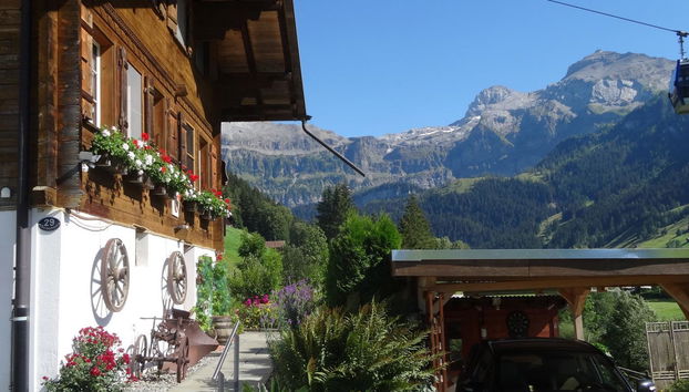 Apartamento de 1 quarto em Lenk - Foto 3