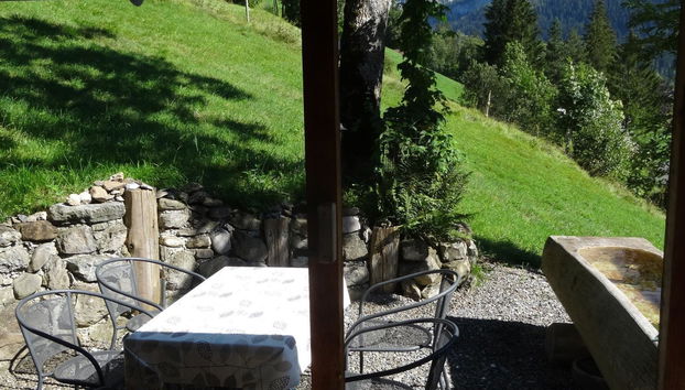 Apartamento de 1 quarto em Lenk - Foto 4