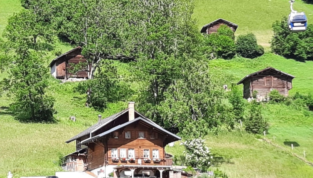 Apartamento de 1 quarto em Lenk - Foto 1