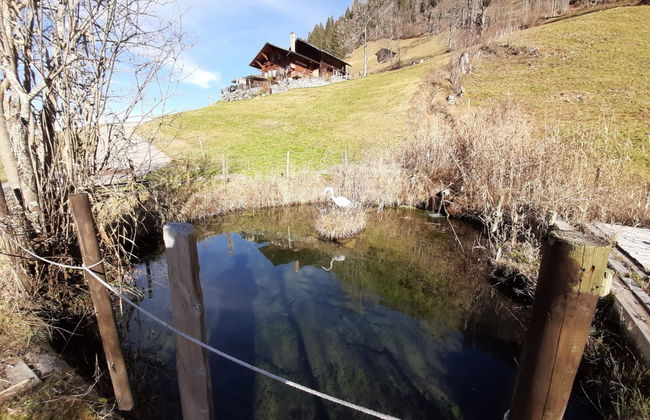 Apartamento de 1 quarto em Lenk - Foto 20