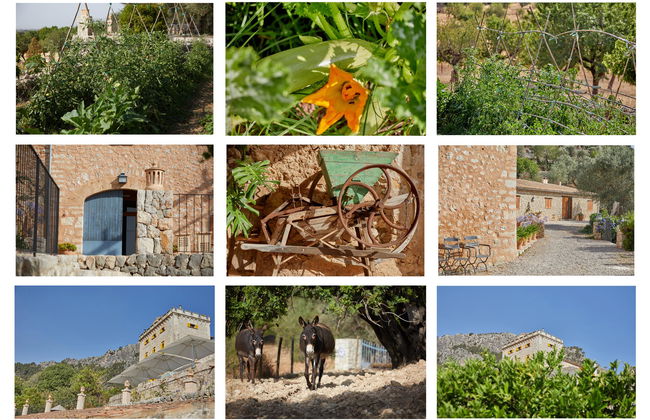 Agroturismo Alquería Blanca - Foto 17