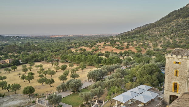 Agroturismo Alquería Blanca - Foto 2