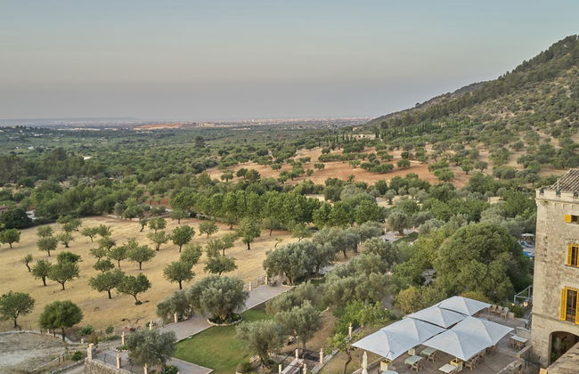 Agroturismo Alquería Blanca - Foto 2