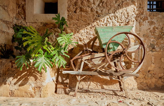 Agroturismo Alquería Blanca - Foto 11