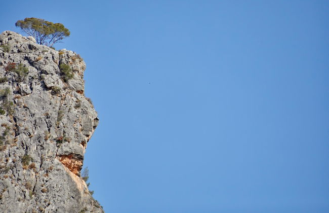 Agroturismo Alquería Blanca - Foto 7