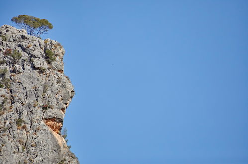 Photo 23 - Agroturismo Alquería Blanca