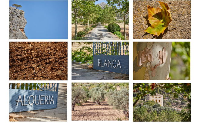 Agroturismo Alquería Blanca - Foto 18