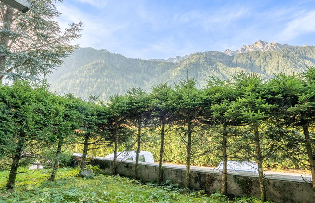 Apartamento de 1 quarto em Chamonix-Mont-Blanc com jardim - Foto 14