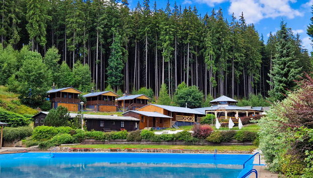 Haus mit 1 Schlafzimmer in Mladé Buky mit schwimmbad und garten - Foto 4