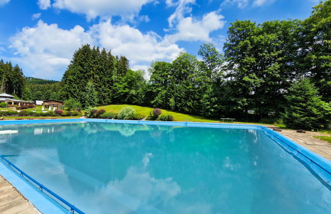 Apartamento de 1 quarto em Mladé Buky com piscina e jardim - Foto 3