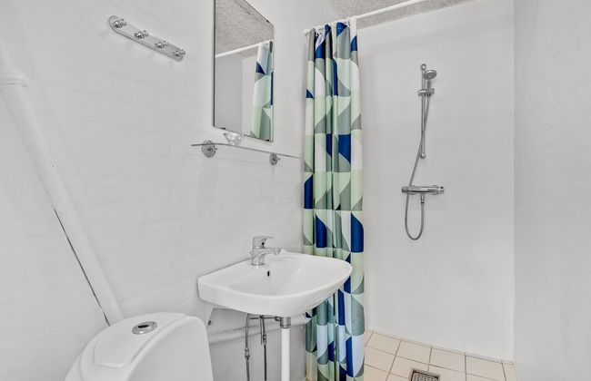 Casa de 9 quartos em Bækmarksbro com terraço - Foto 53