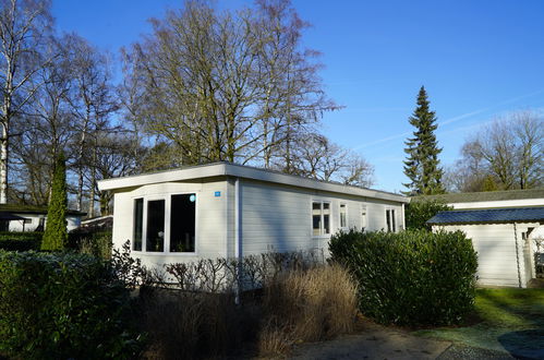 Foto 8 - Casa de 2 quartos em Arnhem com piscina e jardim