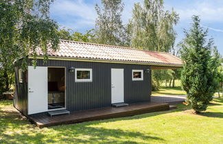 Foto 3 - Haus mit 2 Schlafzimmern in Nykøbing Sj mit terrasse
