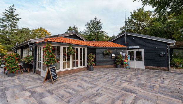 Haus mit 4 Schlafzimmern in Dwingeloo mit schwimmbad - Foto 5