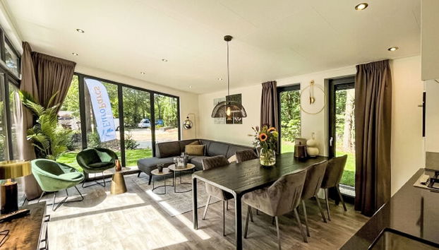 Maison de 4 chambres à Dwingeloo avec piscine et terrasse - Photo 3