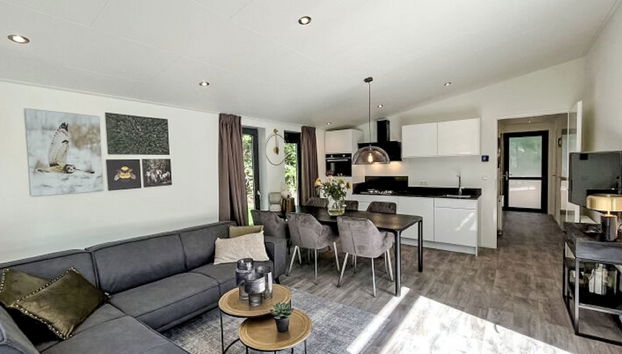 Maison de 4 chambres à Dwingeloo avec piscine et terrasse - Photo 4