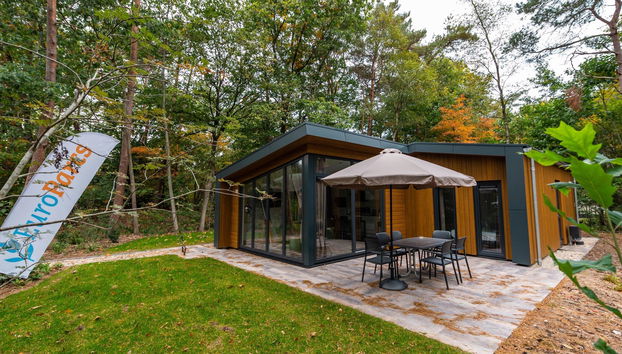 Haus mit 4 Schlafzimmern in Dwingeloo mit schwimmbad - Foto 2