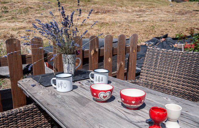 Maison de 2 chambres à Nendaz avec jardin et terrasse - Photo 26