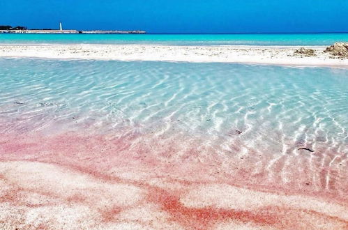 Foto 2 - Appartamento con 2 camere da letto a San Vito Lo Capo con terrazza